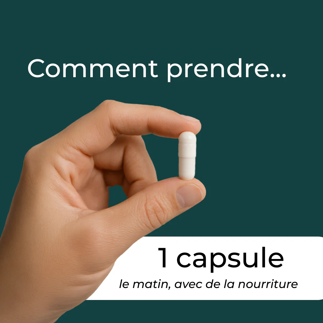 Miniature 7